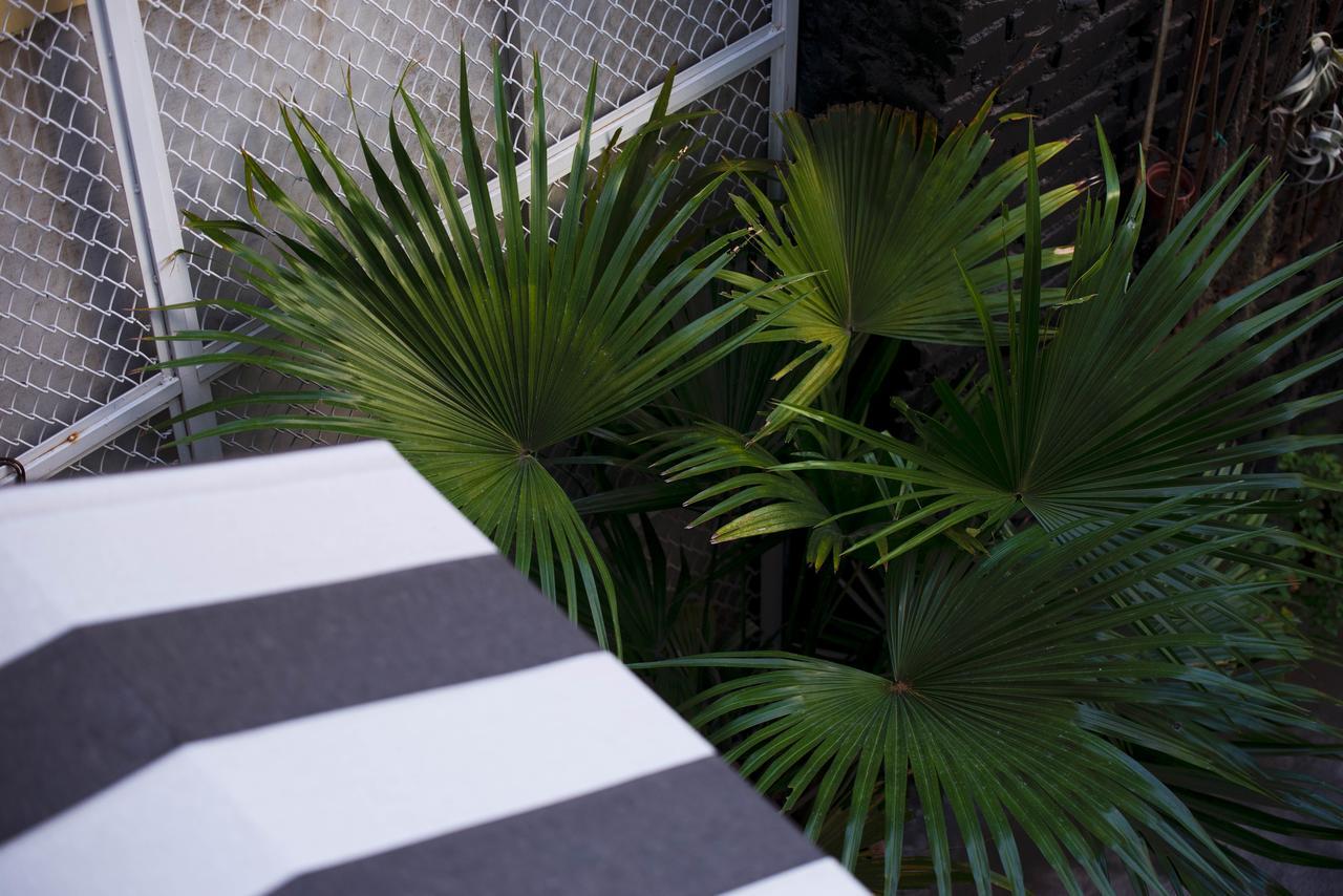 被愛咖啡小旅館 Birdeye Garden Tainan Exterior foto